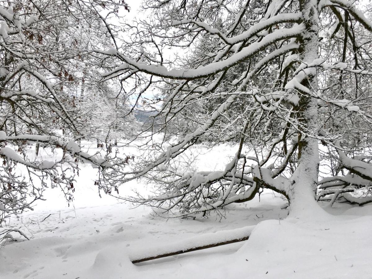Landhotel Hubertus Unterelsbach ภายนอก รูปภาพ
