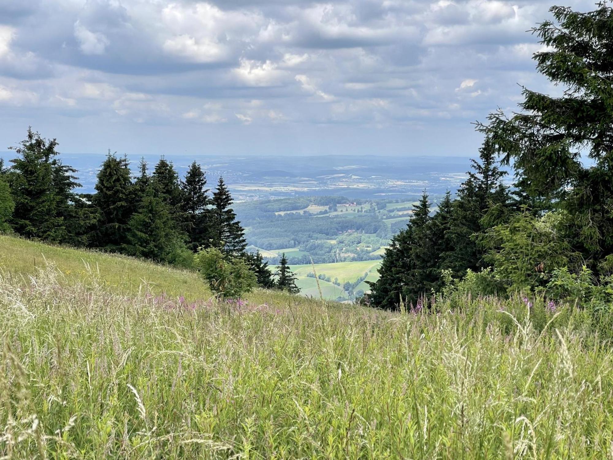 Landhotel Hubertus Unterelsbach ภายนอก รูปภาพ
